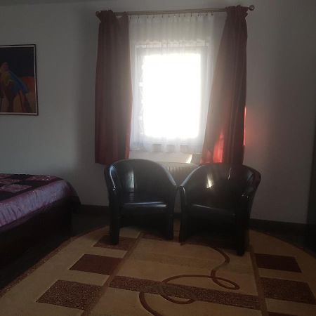 Casa David Bed and Breakfast Rădăuţi Eksteriør billede